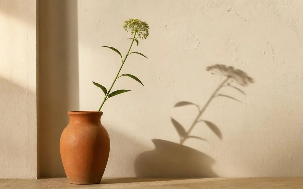 A single stem in a terracotta vase casting a soft shadow